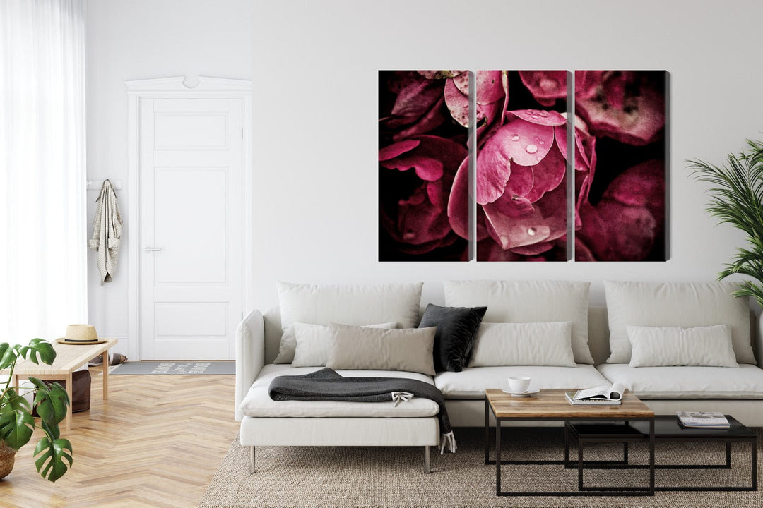 Kanva - Peoniju ziedi tuvplānā, N-4154 X-ART