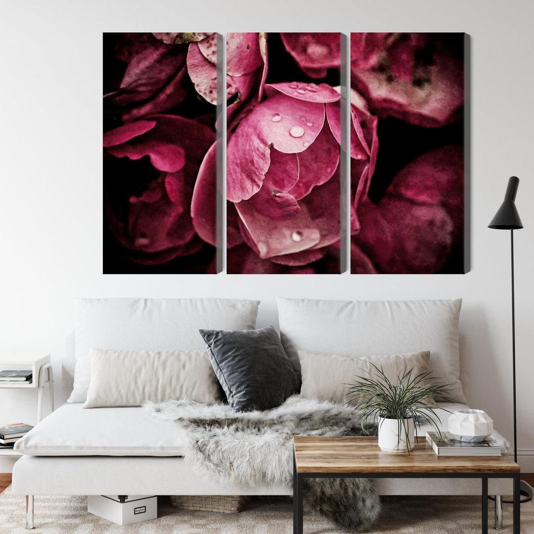 Kanva - Peoniju ziedi tuvplānā, N-4154 X-ART