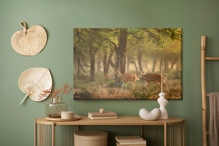 Kanva - Plankumains jauns briedis, N-990 X-ART