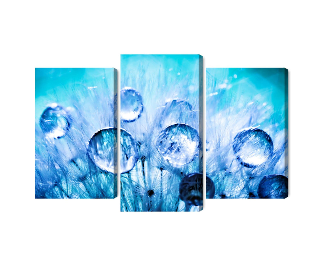 3 daļu kanva: Rasas pilieni uz pienenes X-ART