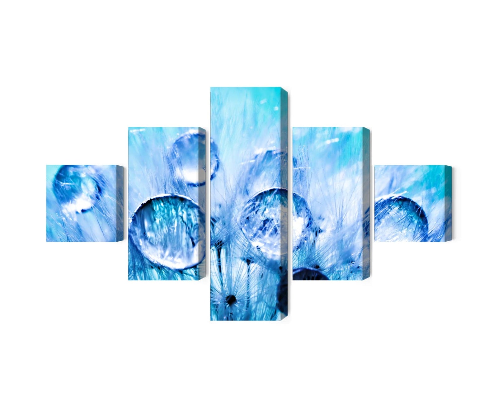 5 daļu kanva: Rasas pilieni uz pienenes X-ART