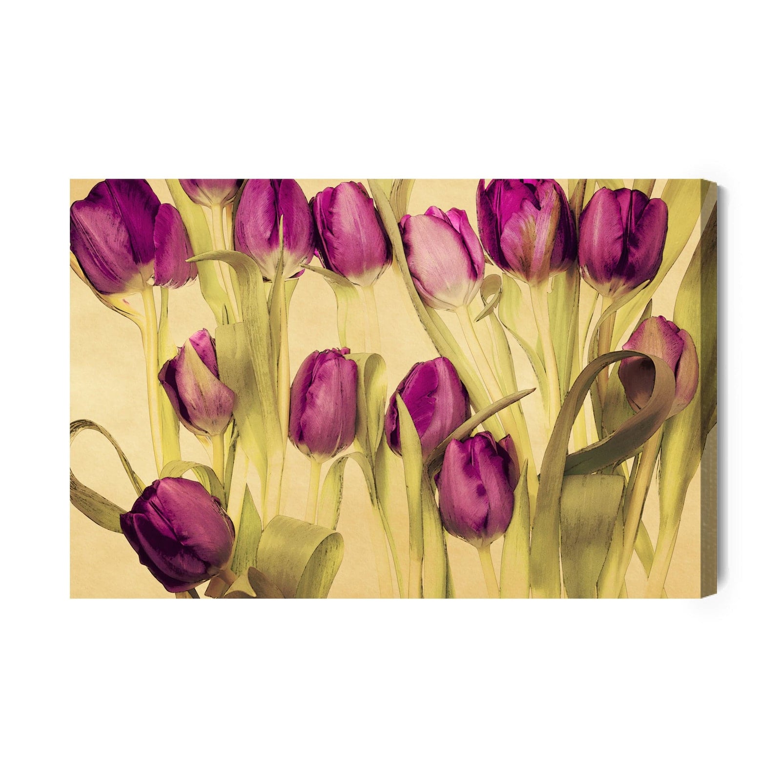 Kanva - Retro stila tulpes, N-1787 X-ART