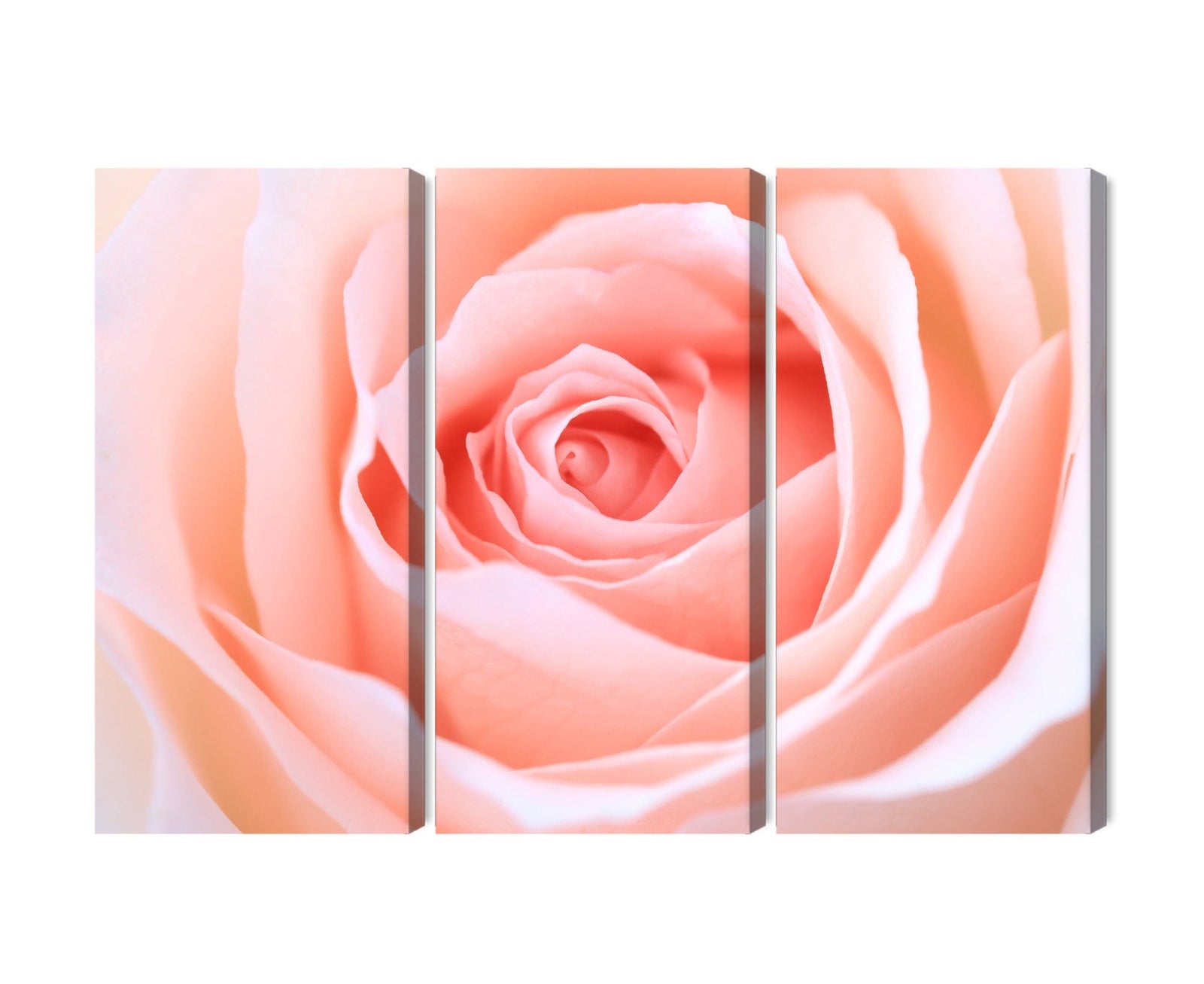 Kanva: Roze pasteļtoņos, delikāti rozā X-ART