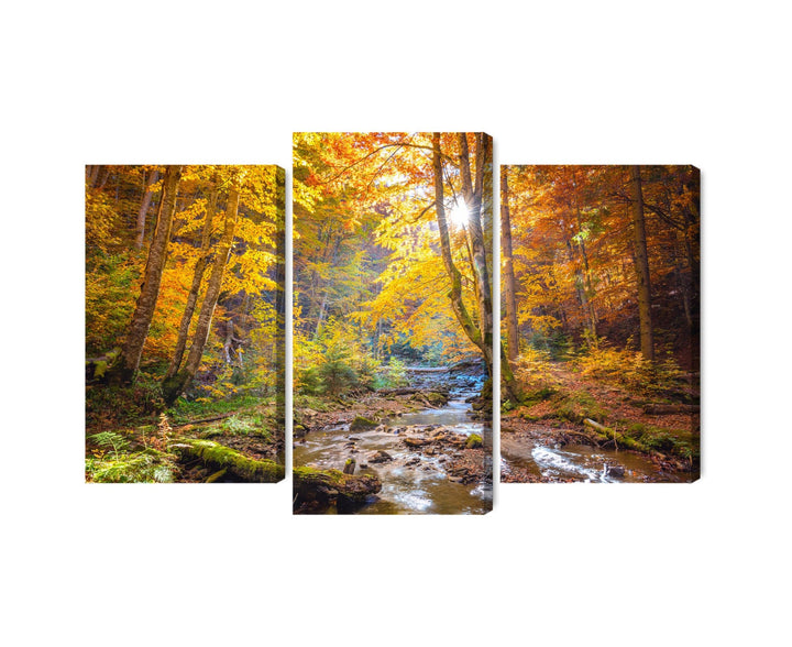 Kanva - Rudens meža ainava, N-1880 X-ART