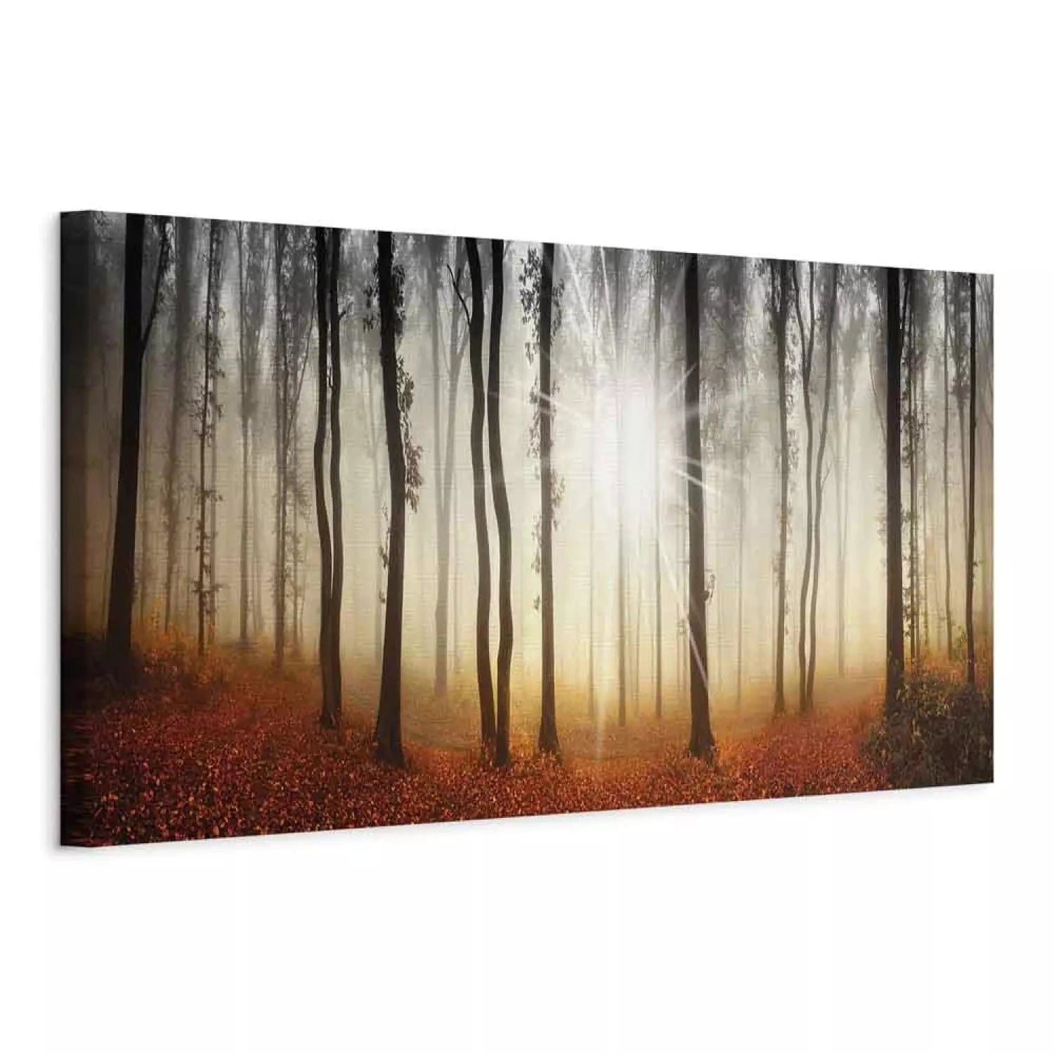 Kanva - Rudens migla mežā - Zelta sezona mežā ar saulrieta fonu G-ART