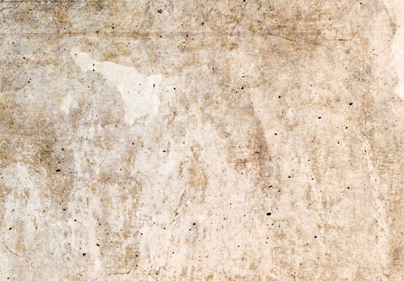 Kanva - Rūsas tekstūra - abstrakcija pasteļbrūnos toņos, 151773 G-ART