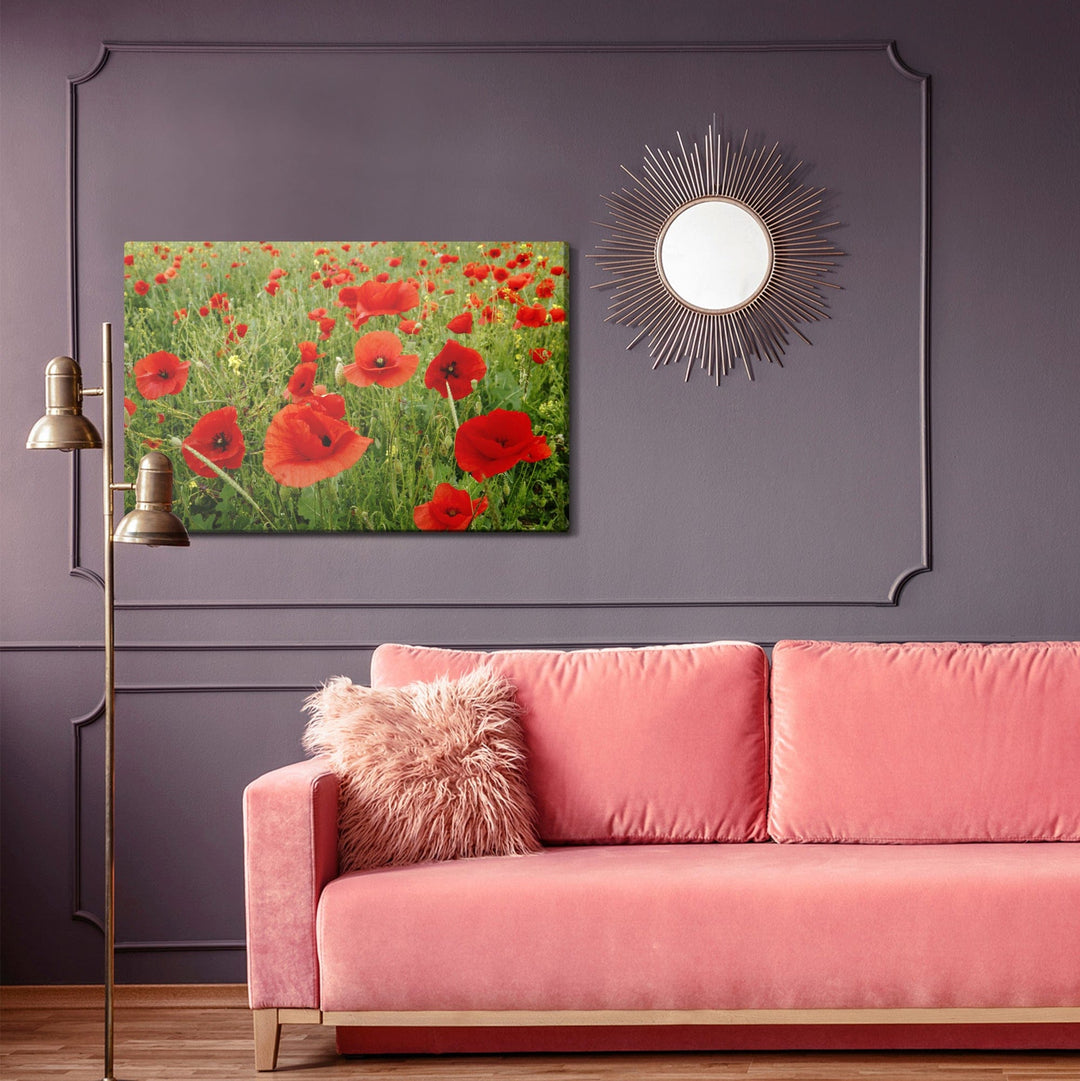 Kanva - Sarkanas magones pļavā, N-1509 X-ART