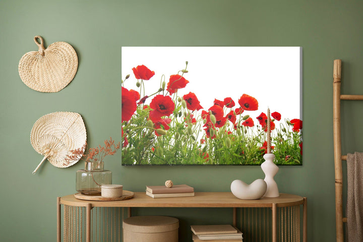 Kanva - Sarkanas magones uz balta fona, N-1516 X-ART