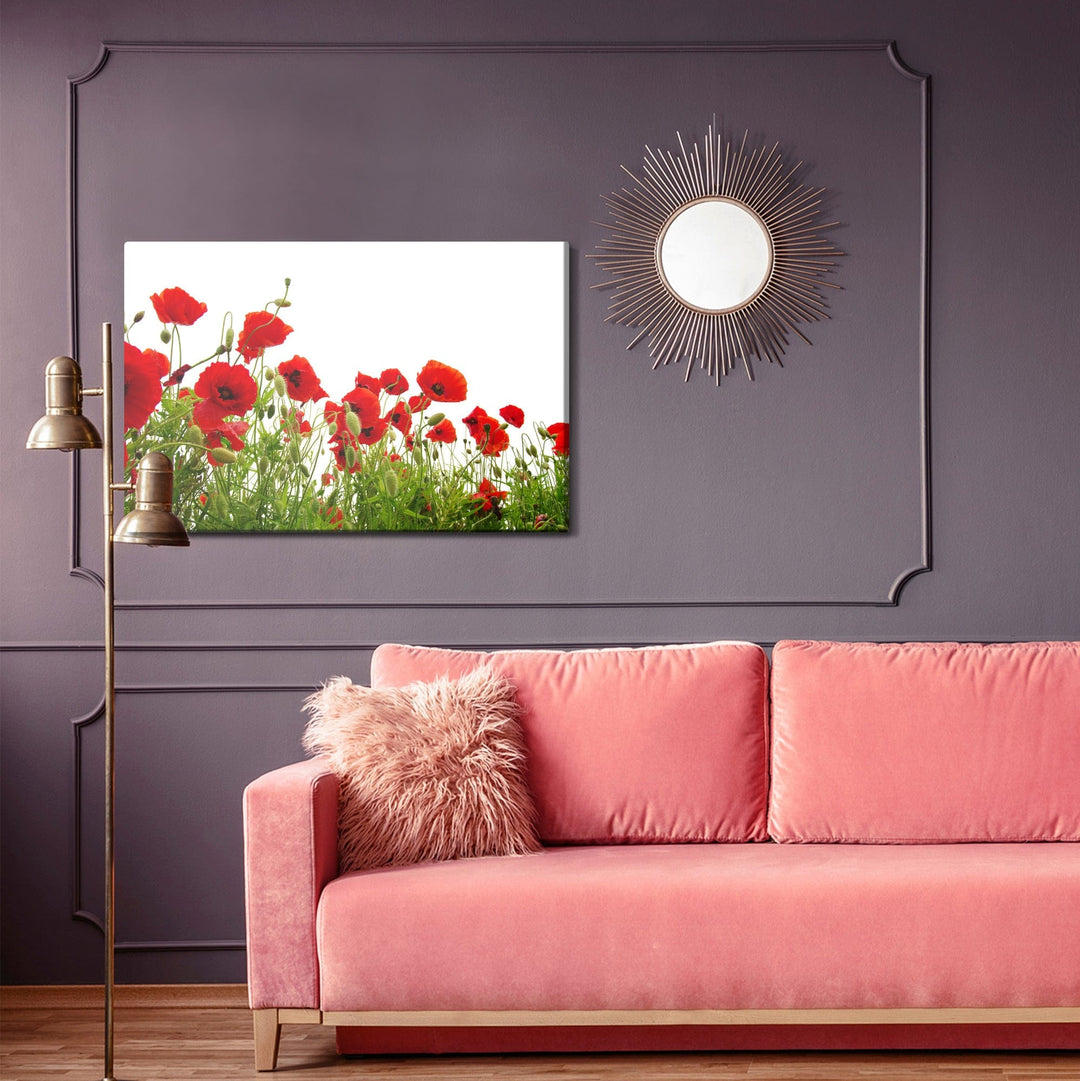 Kanva - Sarkanas magones uz balta fona, N-1516 X-ART