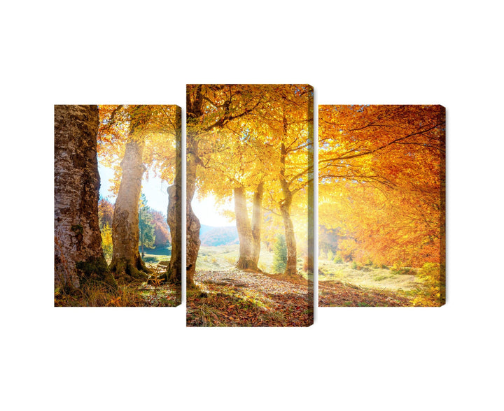 Kanva - Saulains rudens mežs, N-1990 X-ART