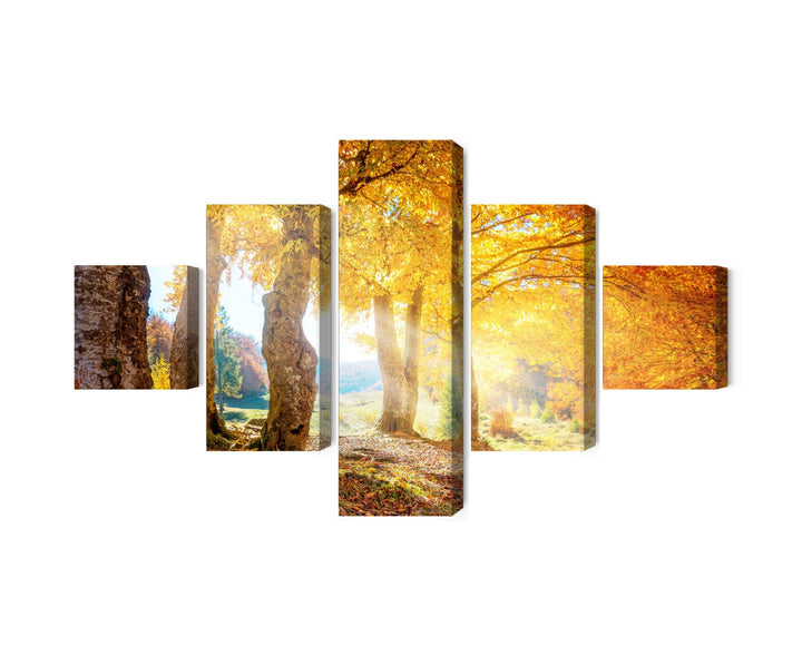 Kanva - Saulains rudens mežs, N-1993 X-ART