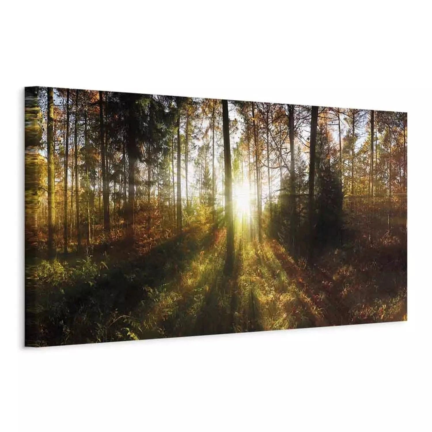 Kanva - Saulains un skaists mežs, (x 1) - interjerā G-ART