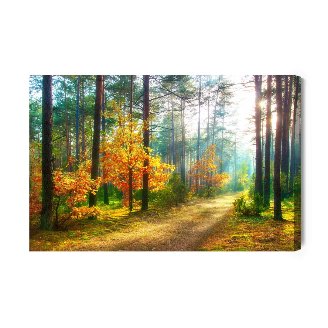 Kanva - Saules stari 3D mežā, N-1232 X-ART