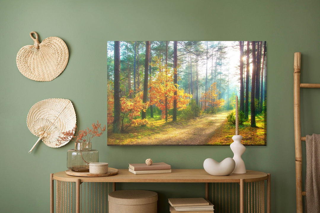 Kanva - Saules stari 3D mežā, N-1232 X-ART