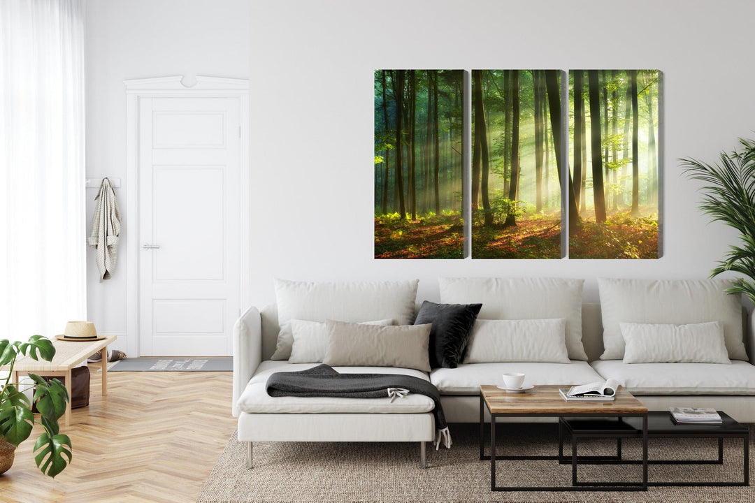 Kanva - Saules stari mežā, N-1857 X-ART