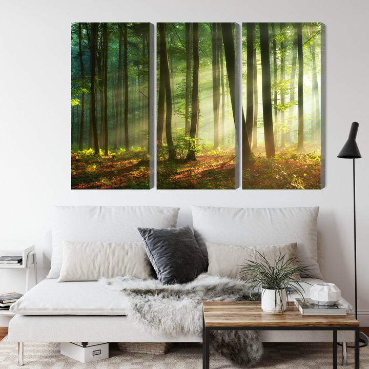 Kanva - Saules stari mežā, N-1857 X-ART