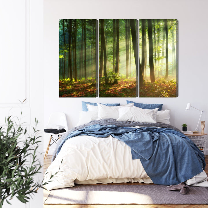 Kanva - Saules stari mežā, N-1857 X-ART