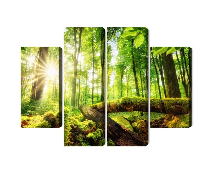 Kanva - Saules stari mežā, N-1890 X-ART