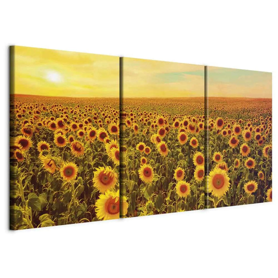 Glezna - Saulespuķes saulrietā, 124359, (3 daļas), dzeltena, oranžā ART XL