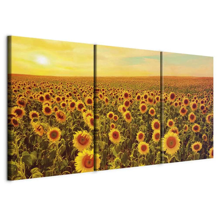 Glezna - Saulespuķes saulrietā, 124359, (3 daļas), dzeltena, oranžā ART XL