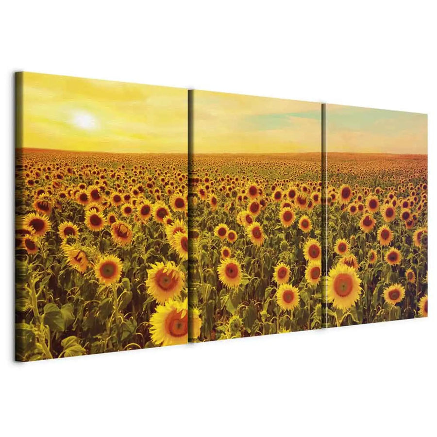 Glezna - Saulespuķes saulrietā, 124359, (3 daļas), dzeltena, oranžā ART XL