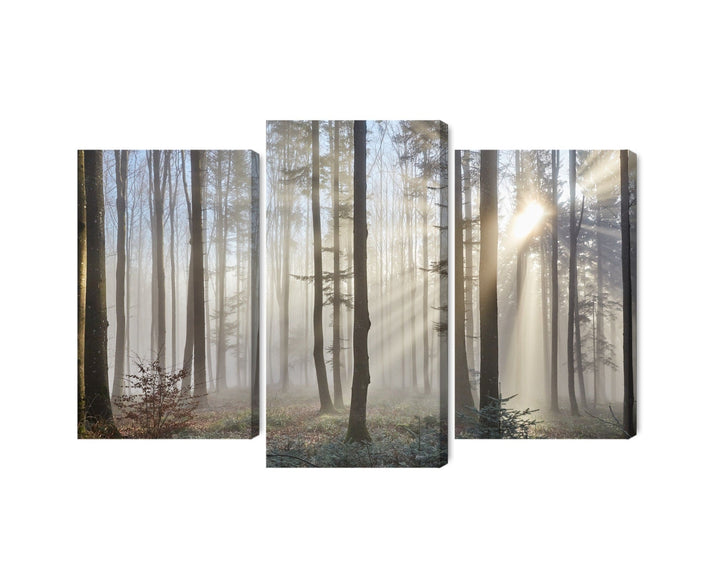 Kanva: Saullēkts mežā, taupe, miers X-ART