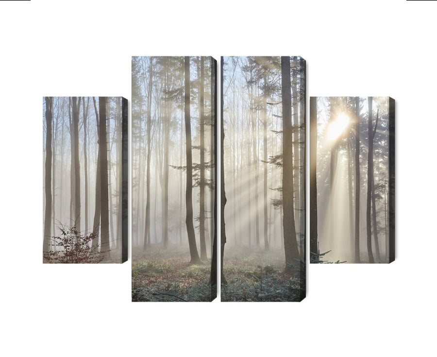 Kanva - Saullēkts mežā, N-1854 X-ART