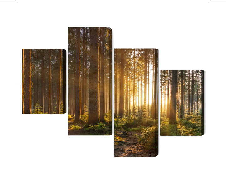 Kanva - Saulriets mežā, N-1867 X-ART