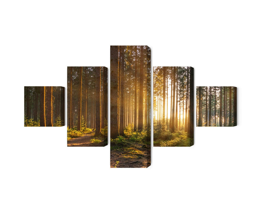 Kanva - Saulriets mežā, N-1868 X-ART