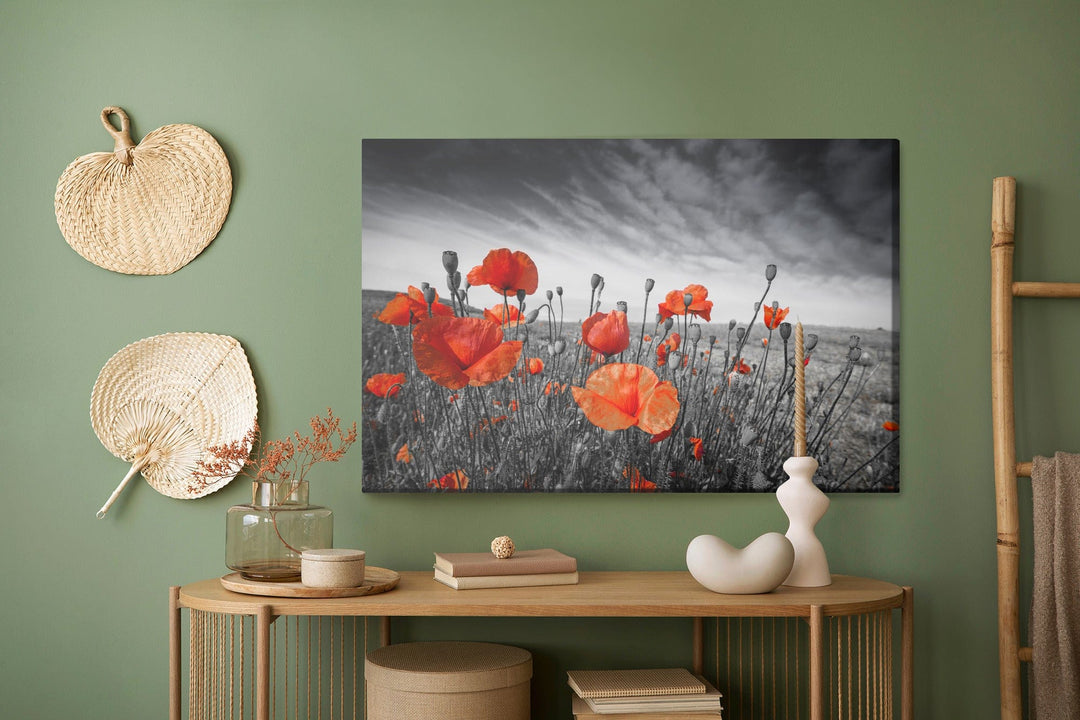 Kanva - Savvaļas magones melnā un baltā pļavā, N-1527 X-ART