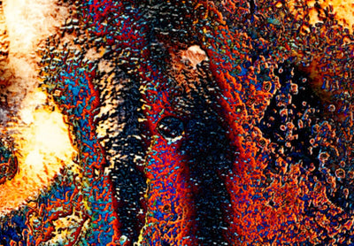 Kanva ar tīģeri uz abstrakta fona - Savvaļas šarms, 92076 G-ART