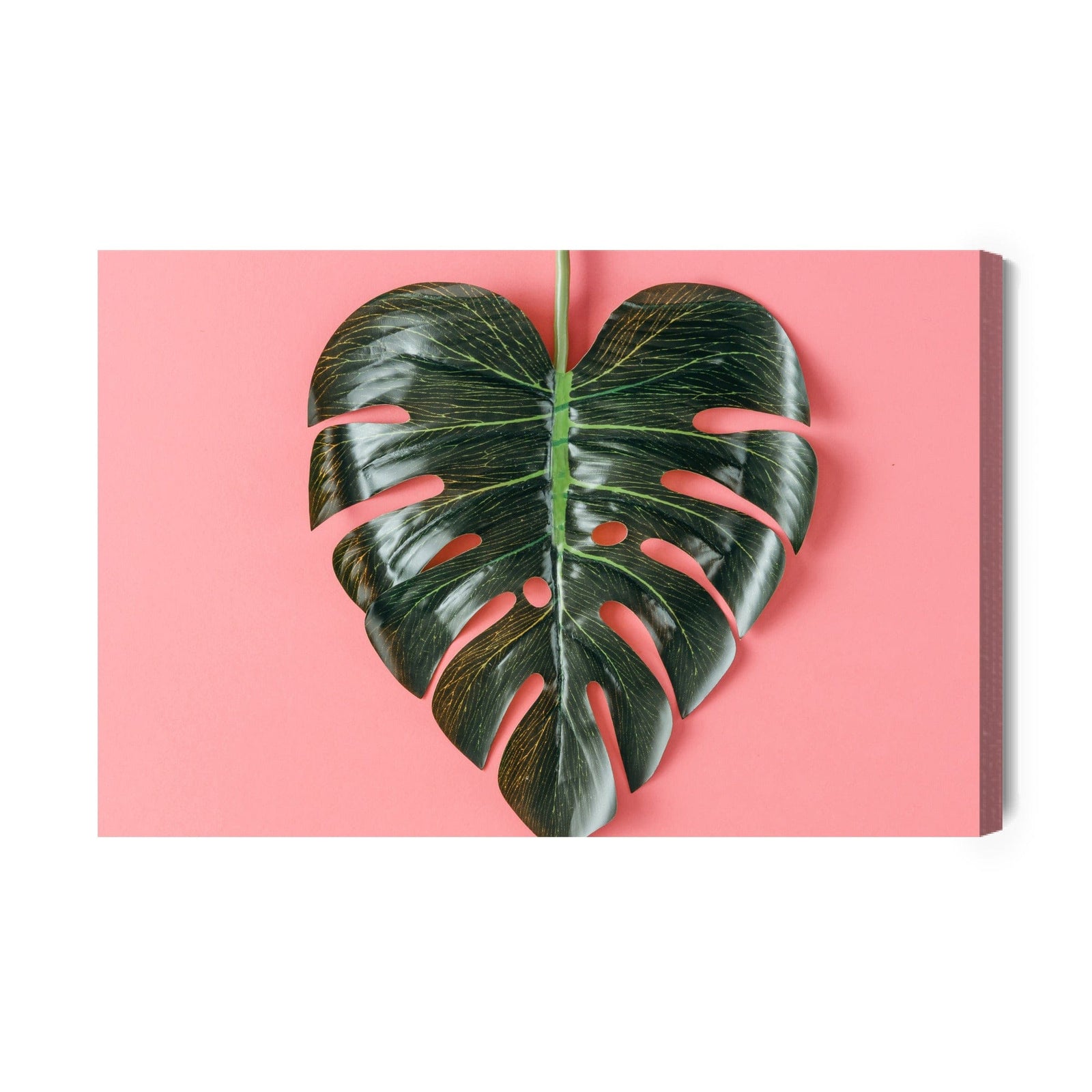 Kanva - Sirds formas monstera lapa, N-1612 X-ART