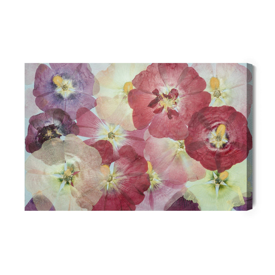 Kanva - Skaistas krāsainas puķes X-ART