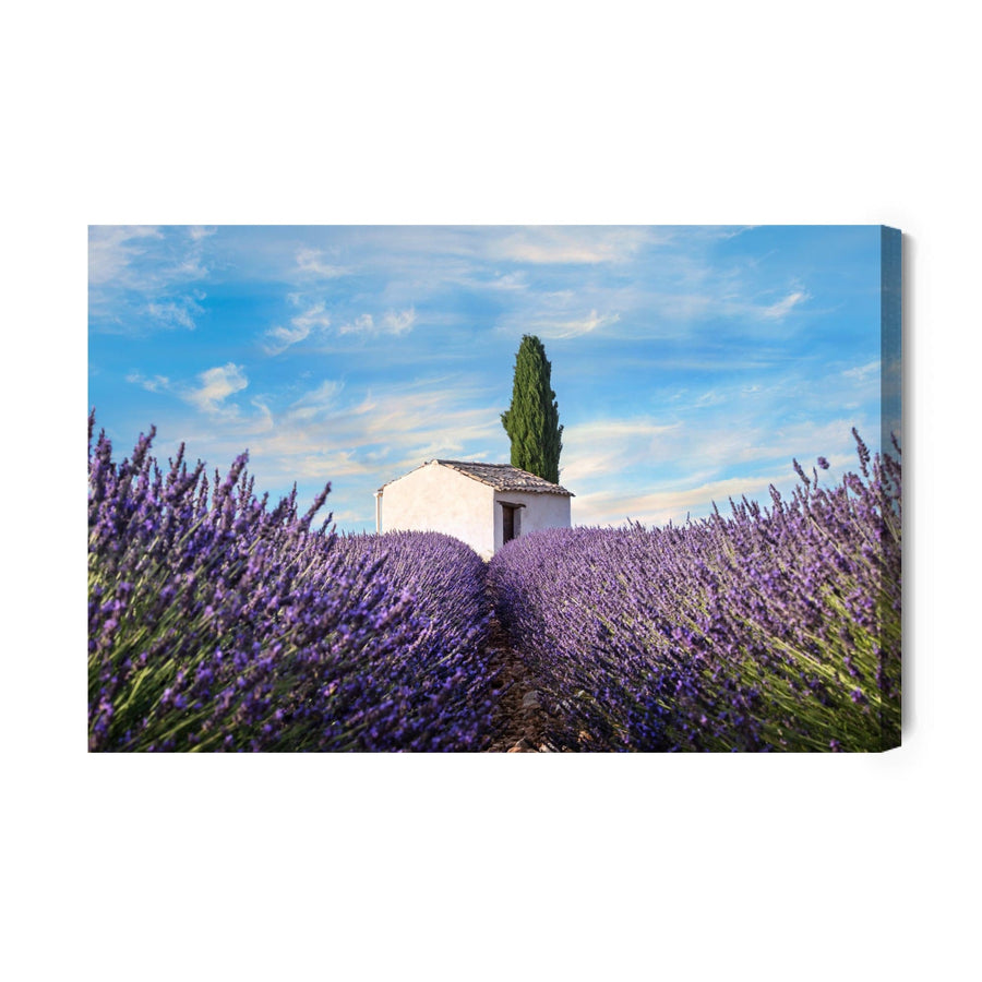 Kanva - Skaisti lavandas ziedi X-ART