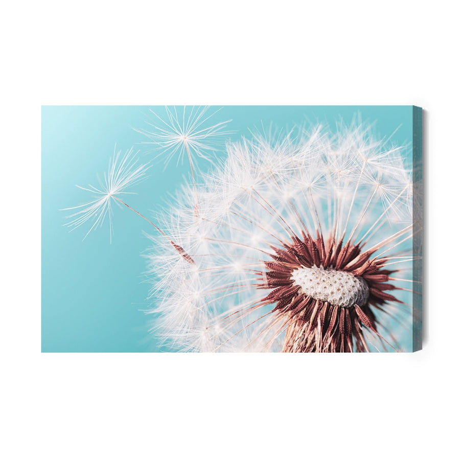 Kanva - Skaists pienene, N-181 X-ART