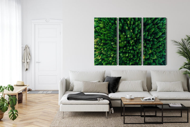 Kanva - Skats no augstuma uz zaļo mežu, N-1974 X-ART