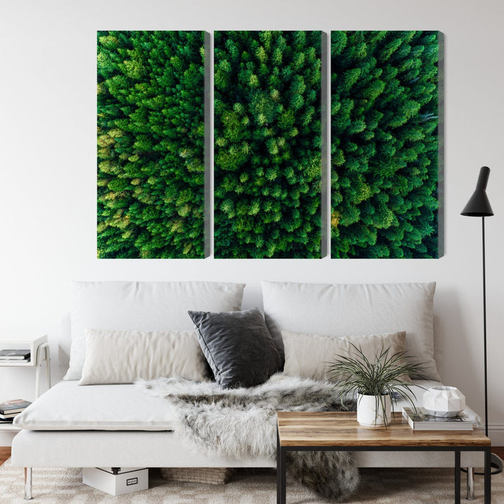 Kanva - Skats no augstuma uz zaļo mežu, N-1974 X-ART