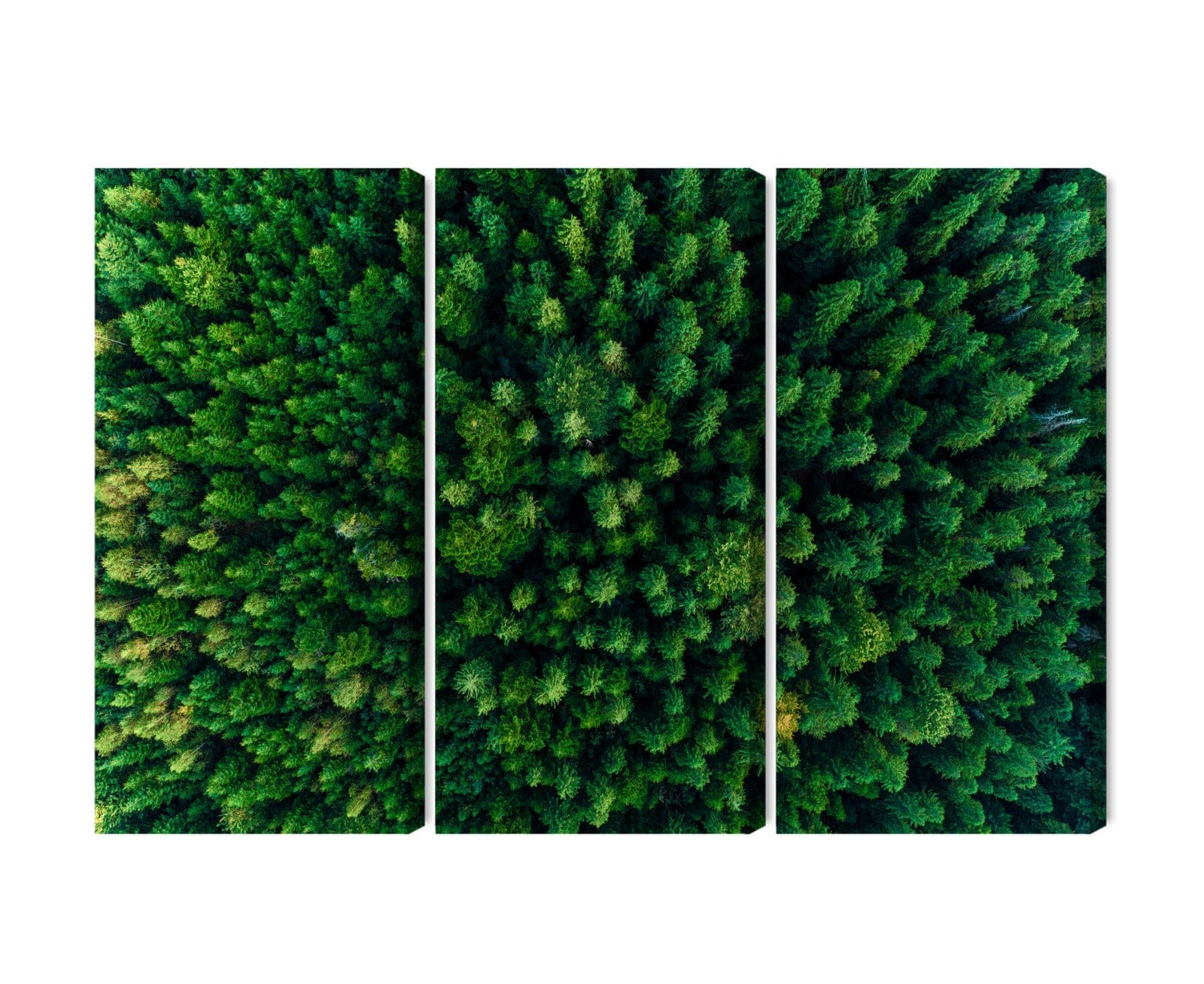 Kanva - Skats no augstuma uz zaļo mežu, N-1974 X-ART