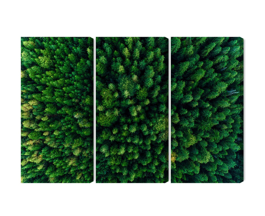 Kanva - Skats no augstuma uz zaļo mežu, N-1974 X-ART