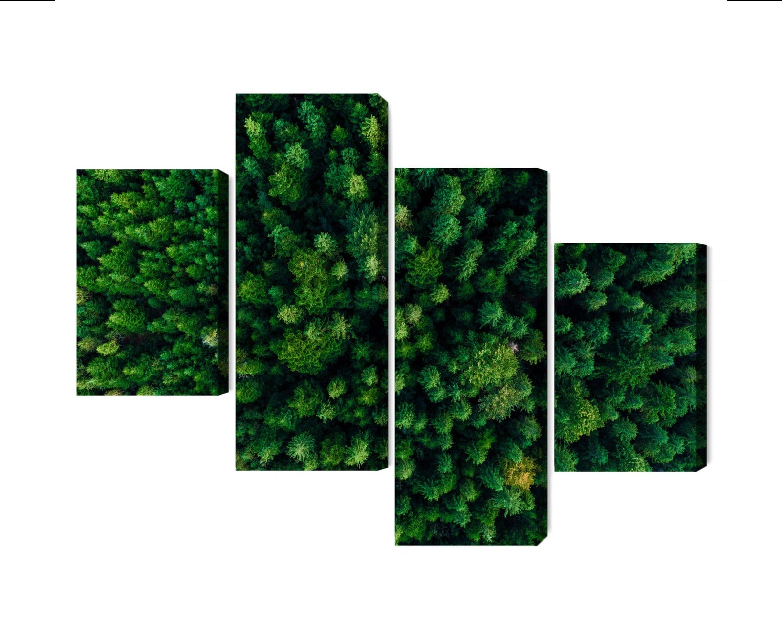 Kanva - Skats no augstuma uz zaļo mežu, N-1977 X-ART