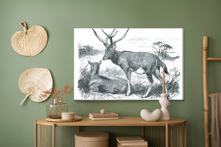 Kanva - Skice ar briežiem, N-762 X-ART