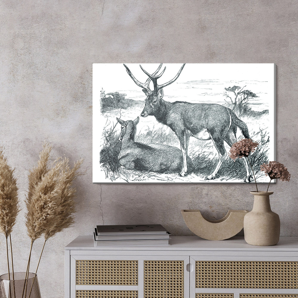 Kanva - Skice ar briežiem, N-762 X-ART