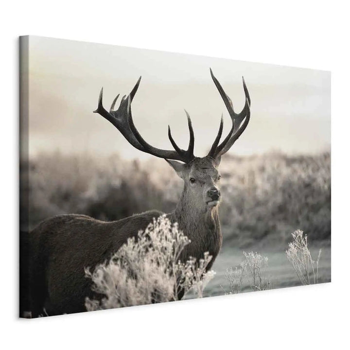 Canva Horns