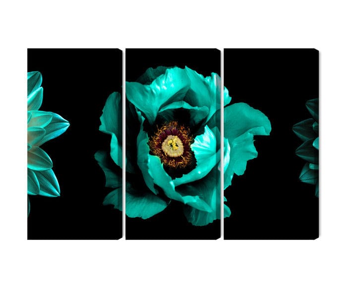 Kanva - Tirkīza ziedi uz melna fona, N-4234 X-ART