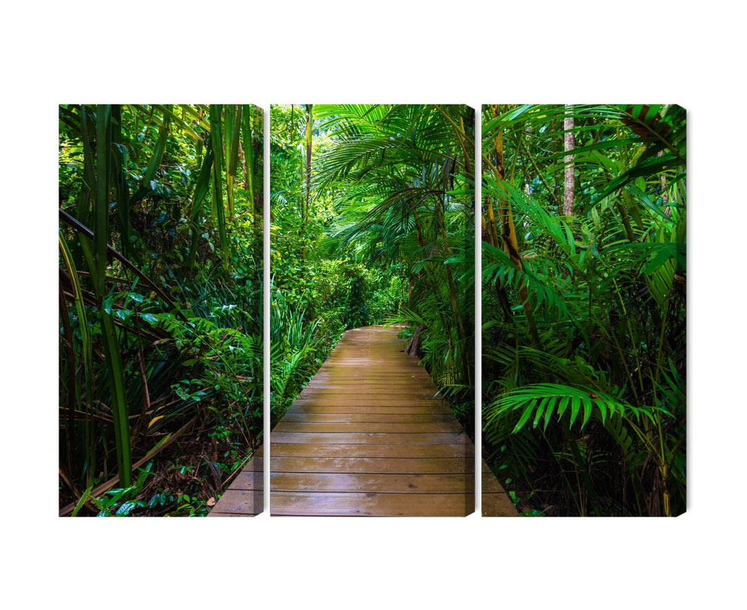 Kanva - Tropu meža koka tilts, N-1994 X-ART