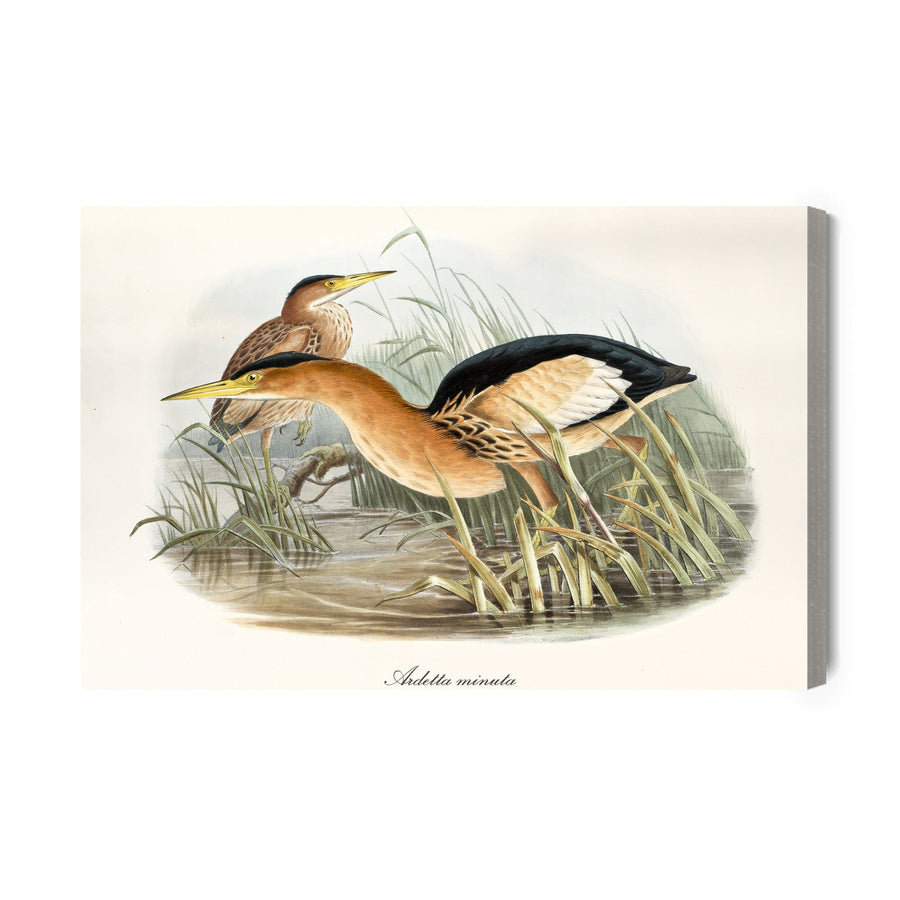 Kanva - Ūdens putni, N-225 X-ART