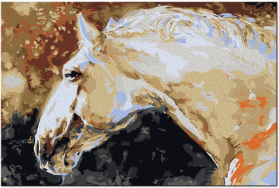 Kanva uz audekla "izkrāso pēc cipariem" - Balts zirgs 60x40 cm Artgeist
