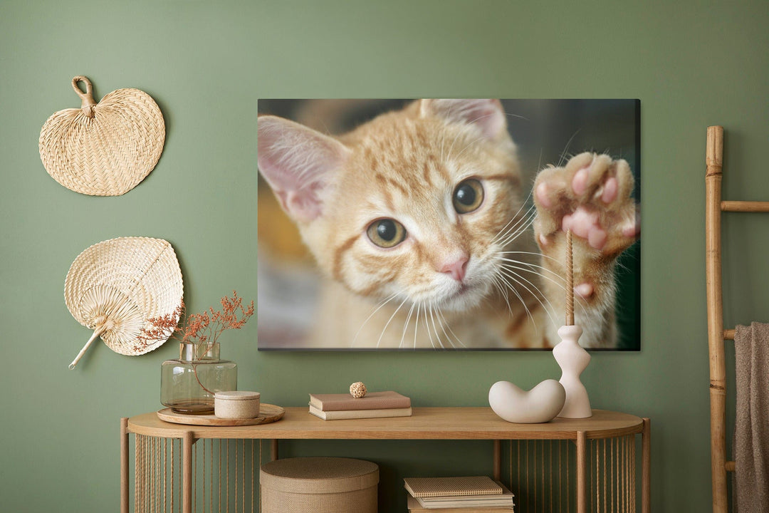 Kanva - Viļņojošs 3D kaķēns, N-1424 X-ART