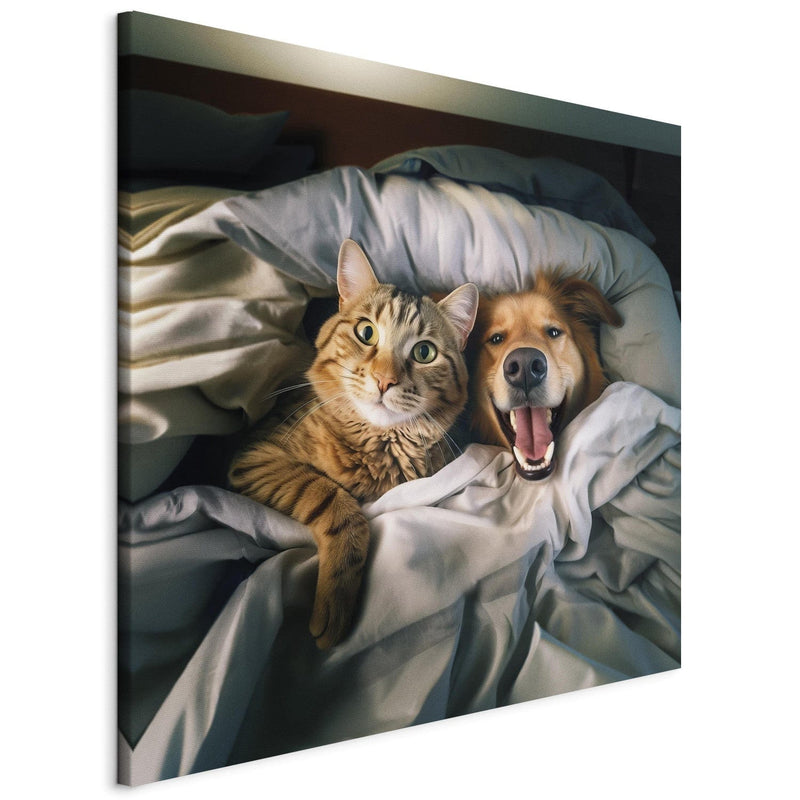 Kanva - Zeltainais retrīvers un kaķis - Dzīvnieki atpūšas gultā, 150217 G-ART