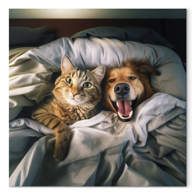 Kanva - Zeltainais retrīvers un kaķis - Dzīvnieki atpūšas gultā, 150217 G-ART